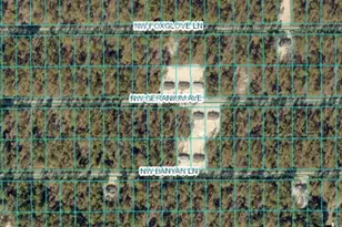 Tbd NW Banyan Ln Lot 35, Dunnellon, FL 34431 - Photo 1