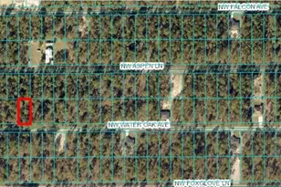 Tbd NW Water Oak Lot 60, Dunnellon, FL 34431 - Photo 1