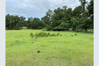 17249 NE 9th Avenue, Citra, FL 32113 - Photo 3