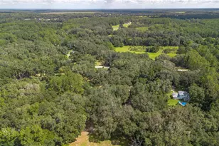 17840 NE 45th Avenue Rd, Citra, FL 32113 - Photo 59