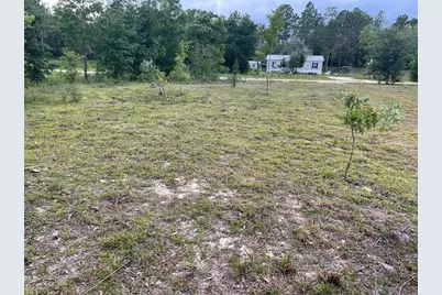 Ne 135th Court, Williston, FL 32696 - Photo 1
