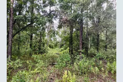 4651 NE 108th Place, Chiefland, FL 32626 - Photo 25