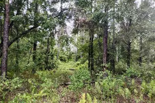 4651 NE 108th Pl, Chiefland, FL 32626 - Photo 25