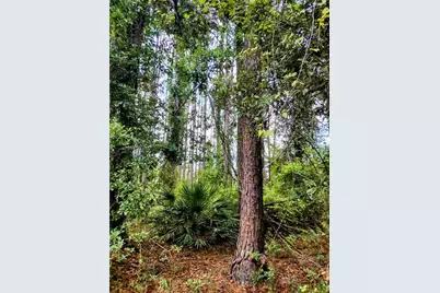 4651 NE 108th Place, Chiefland, FL 32626 - Photo 29