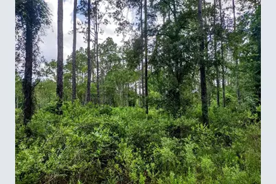 4651 NE 108th Place, Chiefland, FL 32626 - Photo 21