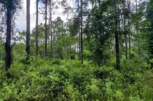 4651 NE 108th Pl, Chiefland, FL 32626 - Photo 21