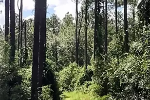 4651 NE 108th Pl, Chiefland, FL 32626 - Photo 31