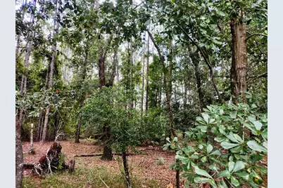 4651 NE 108th Place, Chiefland, FL 32626 - Photo 27