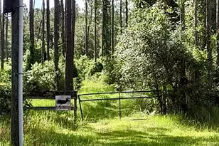 4651 NE 108th Pl, Chiefland, FL 32626 - Photo 9