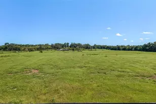 5800 SE 145th St, Summerfield, FL 34491 - Photo 5