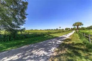 5800 SE 145th St, Summerfield, FL 34491 - Photo 19