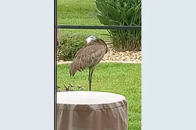 15858 SW 11th Court Road, Ocala, FL 34473 - Photo 37