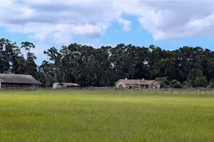 20530 SW 5th Pl, Dunnellon, FL 34431 - Photo 5