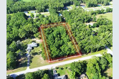 Tbd SW 57th Place, Dunnellon, FL 34431 - Photo 3