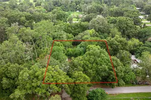 14750 NW 42 Ct, Reddick, FL 32686 - Photo 25