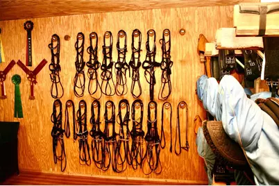 19830 SE 15th Place, Morriston, FL 32668 - Photo 17