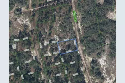 218 Island Mist Drive, Lake Placid, FL 33852 - Photo 1