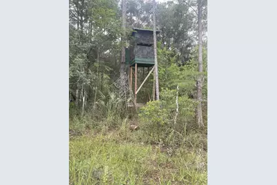 0000 SW County Road 347, Chiefland, FL 32626 - Photo 13