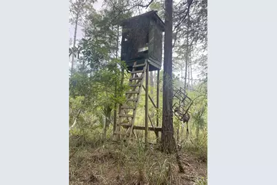 0000 SW County Road 347, Chiefland, FL 32626 - Photo 11