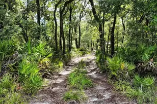 0000 SW County Road 347, Chiefland, FL 32626 - Photo 1