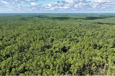 0000 SW County Road 347, Chiefland, FL 32626 - Photo 21