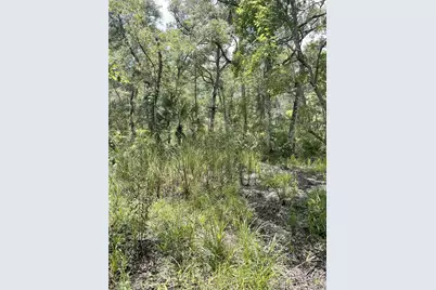 0000 SW County Road 347, Chiefland, FL 32626 - Photo 9