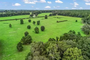 12651 W Hwy 318, Williston, FL 32696 - Photo 49