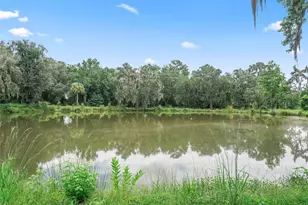 12651 W Hwy 318, Williston, FL 32696 - Photo 43