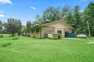 12651 W Hwy 318, Williston, FL 32696 - Photo 5