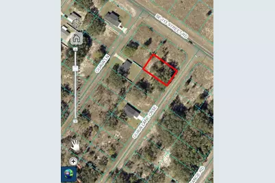 Guava Lane Course, Ocklawaha, FL 32179 - Photo 3