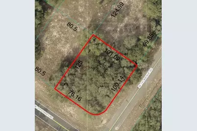 Se 113 St Rd, Ocklawaha, FL 32179 - Photo 1