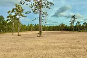 Tbd SE 60th St, Morriston, FL 32668 - Photo 1