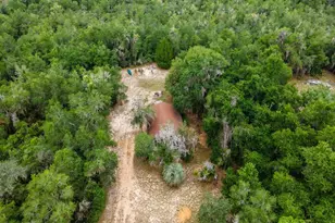 13668 NE 226th Ave Rd, Fort Mc Coy, FL 32134 - Photo 35