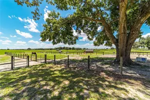 1427 NW 102nd Blvd, Wildwood, FL 34785 - Photo 75