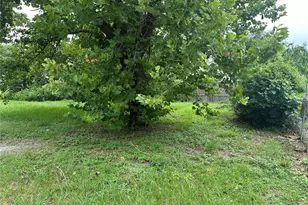 13678 SE 55th Ave, Summerfield, FL 34491 - Photo 5