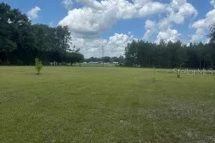 146 SW Segrest Wy, Lake City, FL 32024 - Photo 43