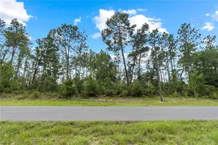 SW 128th Pl, Ocala, FL 34473 - Photo 1