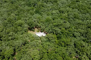 14551 NW 83rd Terrace, Trenton, FL 32693 - Photo 37