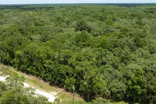 14551 NW 83rd Terrace, Trenton, FL 32693 - Photo 35