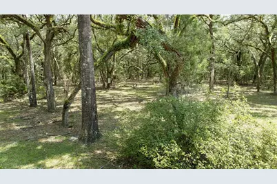 14551 NW 83rd Terrace, Trenton, FL 32693 - Photo 11