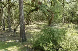 14551 NW 83rd Terrace, Trenton, FL 32693 - Photo 11