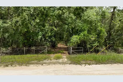 14551 NW 83rd Terrace, Trenton, FL 32693 - Photo 41