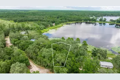 Tbd NE 224th Place, Fort Mc Coy, FL 32134 - Photo 1