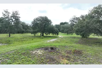 6671 NE 131st Avenue, Williston, FL 32696 - Photo 1