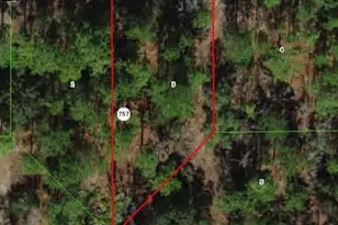 2174 W Tacoma Dr, Citrus Springs, FL 34434 - Photo 1