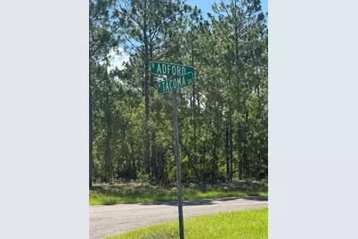 2174 W Tacoma Drive, Citrus Springs, FL 34434 - Photo 3