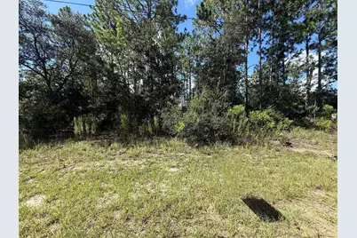 2190 W Tacoma Drive, Citrus Springs, FL 34434 - Photo 1