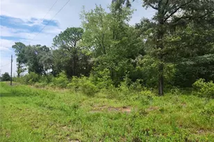 Lot 9 SW Ivy Pl, Dunnellon, FL 34431 - Photo 1