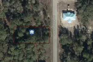Tbd SW South Haven Ct, Dunnellon, FL 34431 - Photo 1