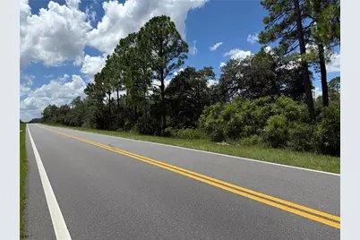 Fisher Rd, Ocklawaha, FL 32179 - Photo 3